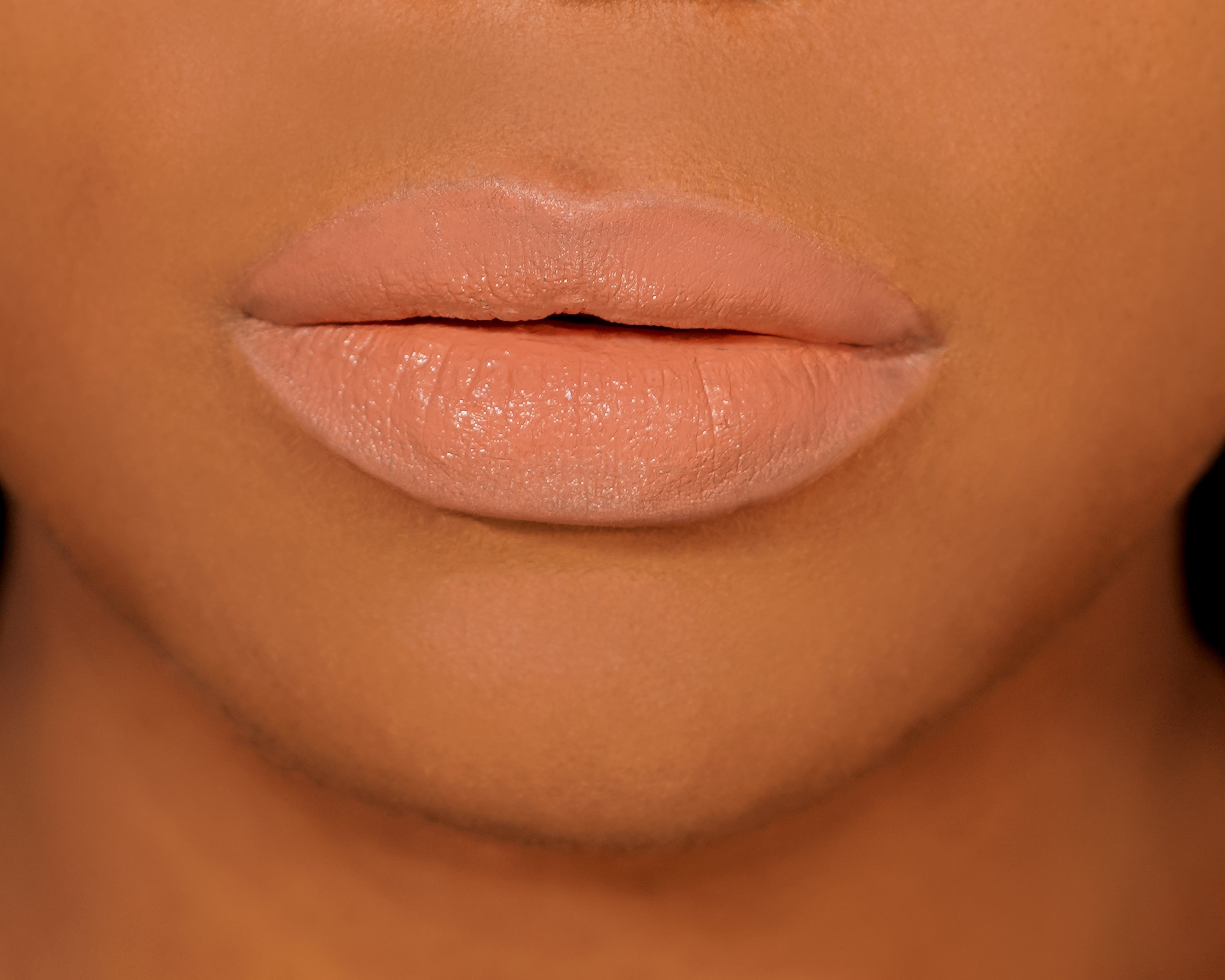 LIP SHINE LIPSTICK - FRESH LIPS (NEW)