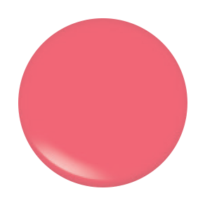 LIQUID LIPSTICK - BURLESQUE