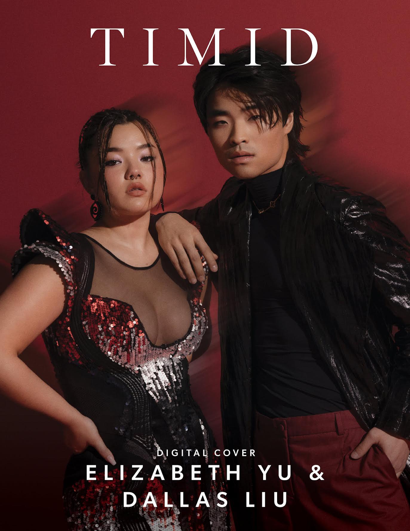 TIMID MAGAZINE